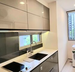 Hallmark Residences (D10), Condominium #543579031